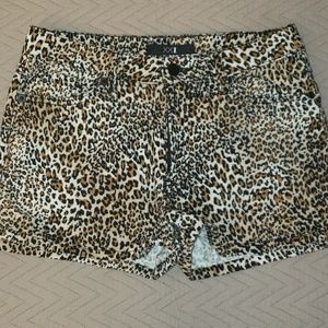 Leopard Shorts